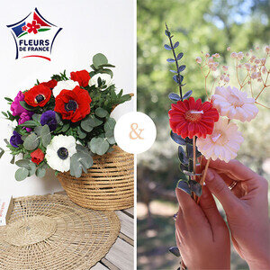 15 ANEMONES + BOUQUET BOUGIES