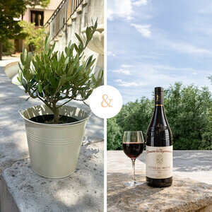 OLIVIER + COTES DU RHONE OLIVIER + COTES DU RHONE