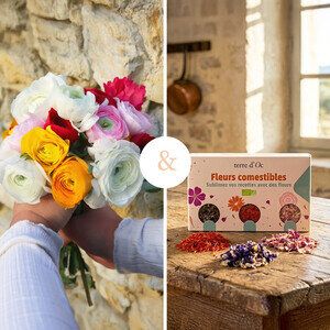 EVEIL S + FLEURS COMESTIBLES