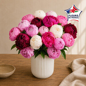 20 PIVOINES ROSES 20 PIVOINES ROSES