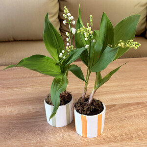POTS DE MUGUET