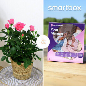 ROSIER ROSE + SMARTBOX ROSIER ROSE + SMARTBOX