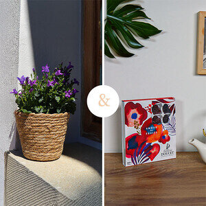 CAMPANULE + AMOUR DE FRUITS