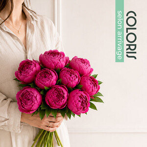 BOUQUET DE PIVOINES