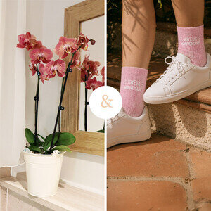 ORCHIDEE 2 BRANCHES + CHAUSSETTES