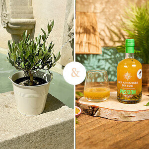 OLIVIER + RHUM
