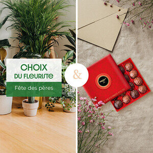 PLANTE POUR PAPA + ROCHERS