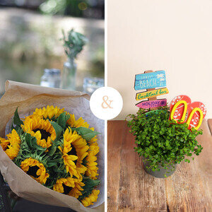 10 TOURNESOLS + MINI PLANTE