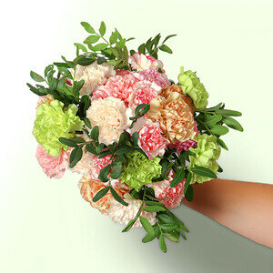 25 OEILLETS PASTEL