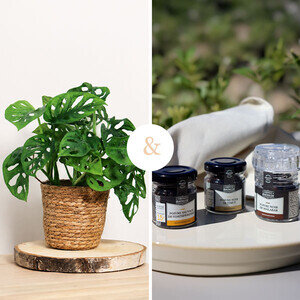 MONSTERA + BAR A POIVRE