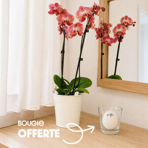 ORCHIDEE + BOUGIE