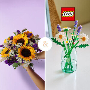 ETE SAUVAGE + LEGO®