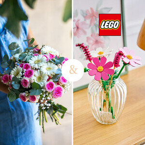CLARISSE + LEGO®