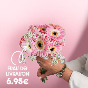 LES PETITS GERBERAS