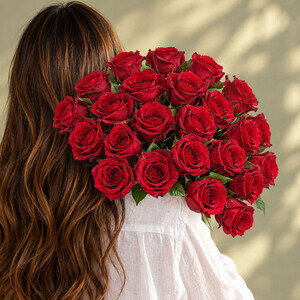 24 GRANDES ROSES