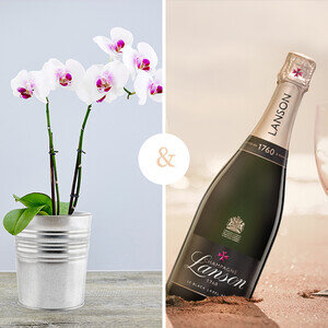 ORCHIDEE + CHAMPAGNE