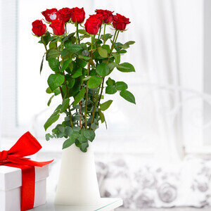 11 + 1 ROSE MARQUEE FETE