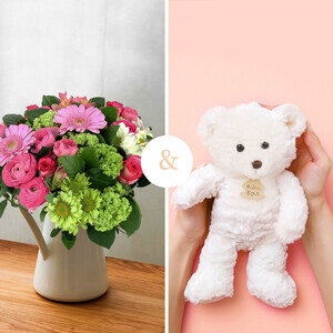 AMBASSADEUR + OURSON AMBASSADEUR + OURSON