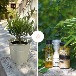 OLIVIER + COFFRET TRUFFE OLIVIER + COFFRET TRUFFE