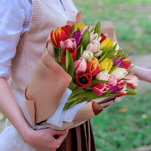 30 TULIPES MULTICOLORES