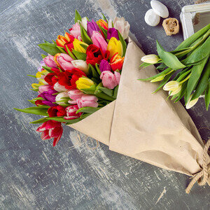 40 TULIPES MULTICOLORES