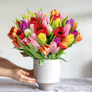 40 TULIPES MULTICOLORES 40 TULIPES MULTICOLORES