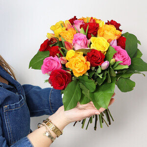 PAPILLON DE BONHEUR PAPILLON DE BONHEUR