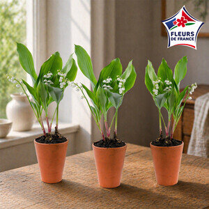 TRIO DE MUGUET 3 BRINS TRIO DE MUGUET 3 BRINS