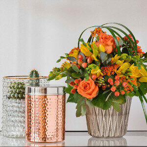 BELLISSIMA BELLISSIMA