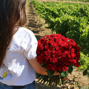 90 ROSES ROUGES