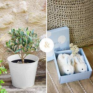 OLIVIER + CHAUSSONS OLIVIER + CHAUSSONS