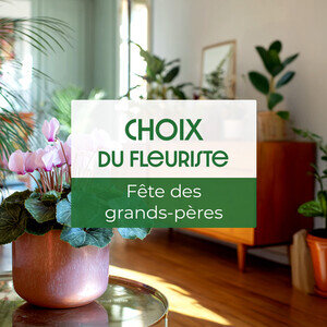 PLANTE DU FLEURISTE