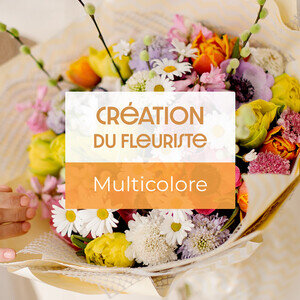 CREATION MULTICOLORE