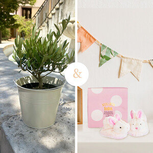 OLIVIER + CHAUSSONS OLIVIER + CHAUSSONS