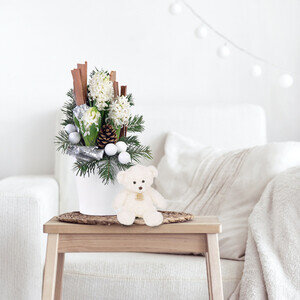 EVEREST + OURSON EVEREST + OURSON