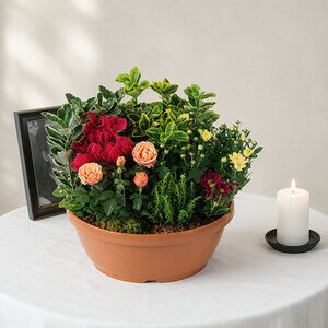 PLANTES DU SOUVENIR