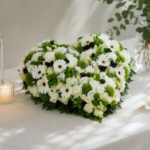 BLANC PUR
