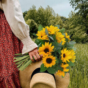 SUNFLOWER SUNFLOWER
