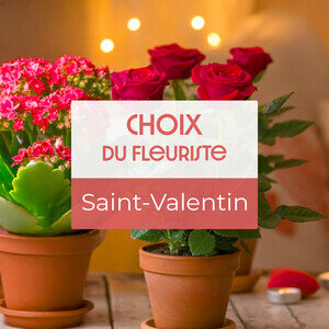 PLANTE SAINT-VALENTIN