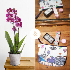 ORCHIDEE + SOINS BEAUTE
