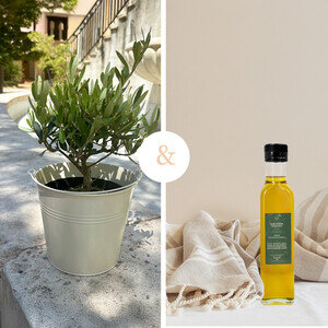 OLIVIER + HUILE D'OLIVE OLIVIER + HUILE D'OLIVE