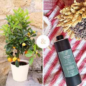 CALAMONDIN + HUILE D'OLIVE CALAMONDIN + HUILE D'OLIVE