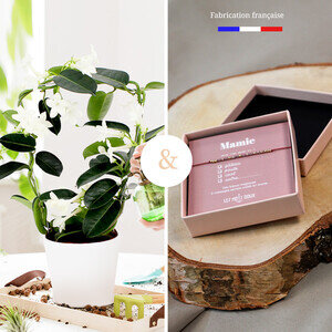 STEPHANOTIS + BRACELET STEPHANOTIS + BRACELET