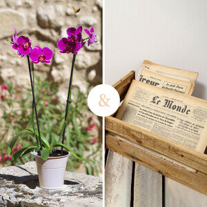 ORCHIDEE + JOURNAL