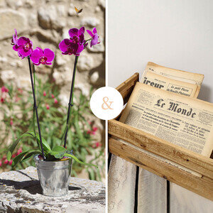 ORCHIDEE + JOURNAL