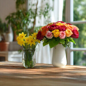 20 ROSES + JONQUILLES
