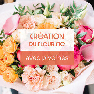 CREATION PIVOINES CREATION PIVOINES