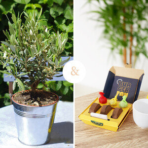 OLIVIER + KIT BURGER