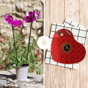 ORCHIDEE + CHOCOLATS ORCHIDEE + CHOCOLATS
