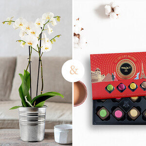 ORCHIDEE + MACARONS ORCHIDEE + MACARONS